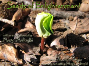 Seeds of Enlightenment Guided Meditation Seeds of Enlightenment Guided Meditation